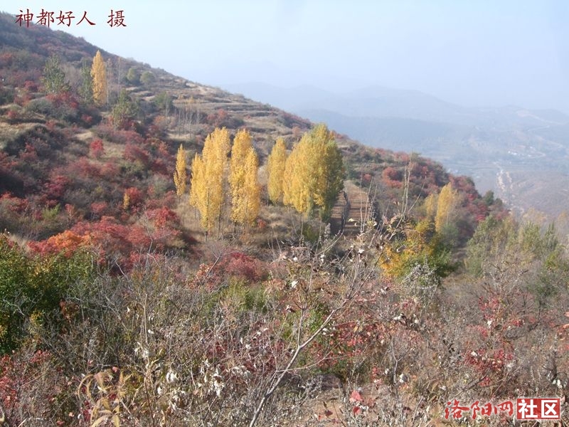 DSCF4037.JPG