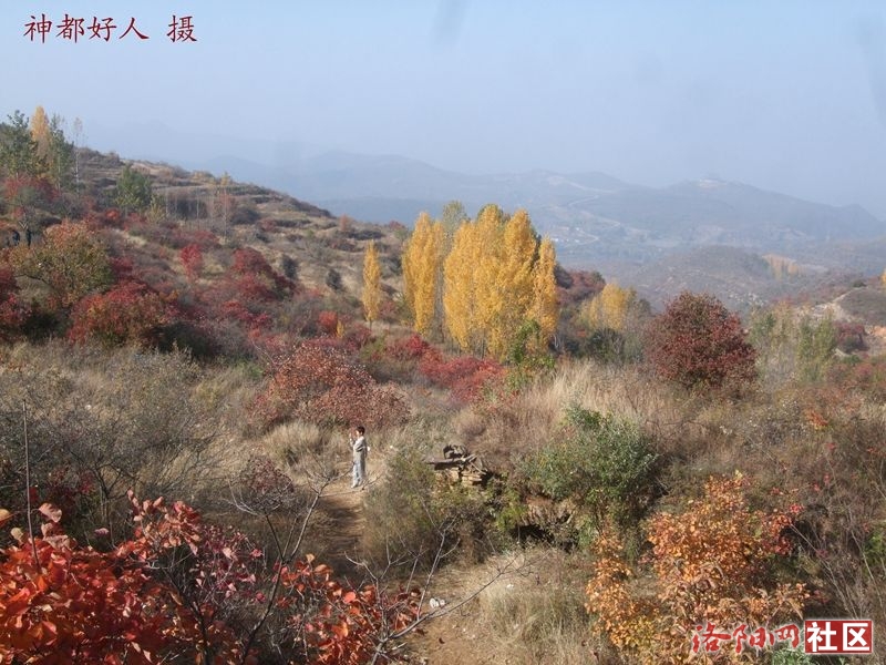 DSCF4042.JPG