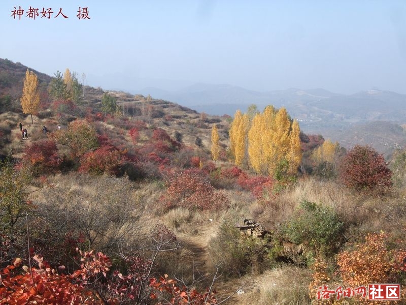DSCF4044.JPG