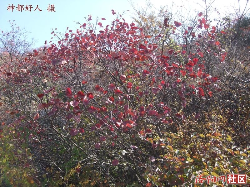 DSCF4046.JPG