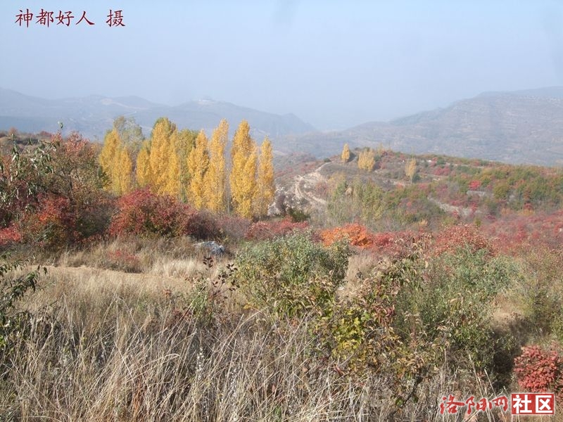 DSCF4047.JPG