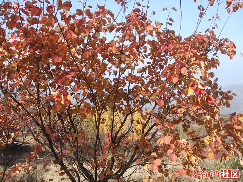 DSCF4048.JPG