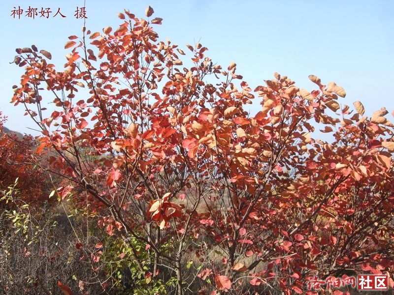 DSCF4050.JPG