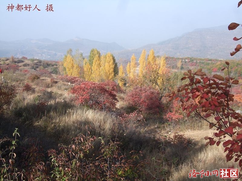 DSCF4051.JPG