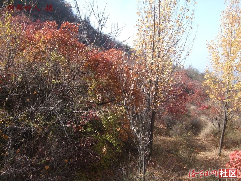 DSCF4055.JPG