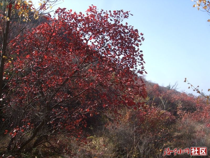 DSCF4057.JPG