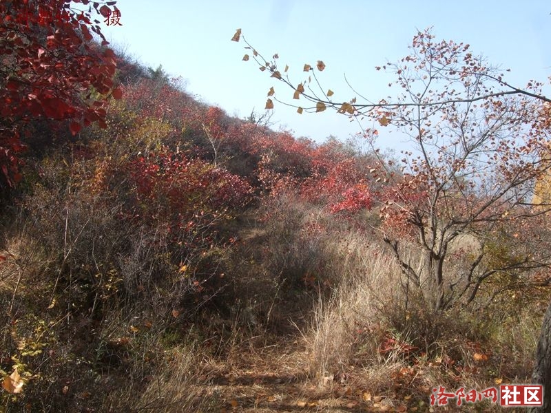 DSCF4058.JPG
