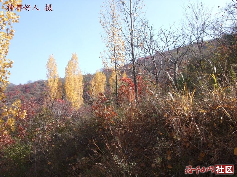 DSCF4059.JPG