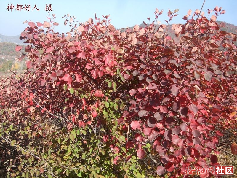 DSCF4061.JPG