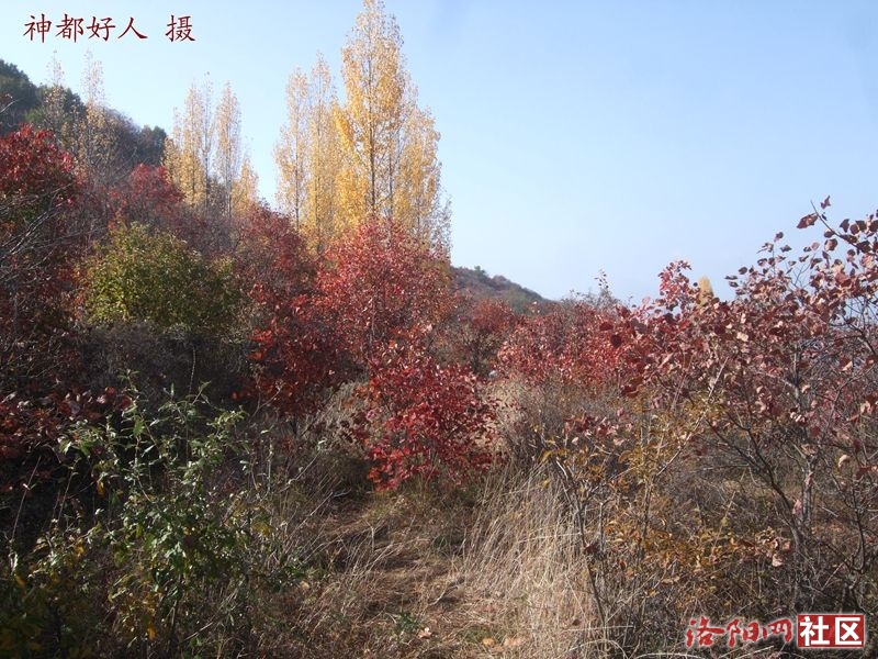 DSCF4062.JPG