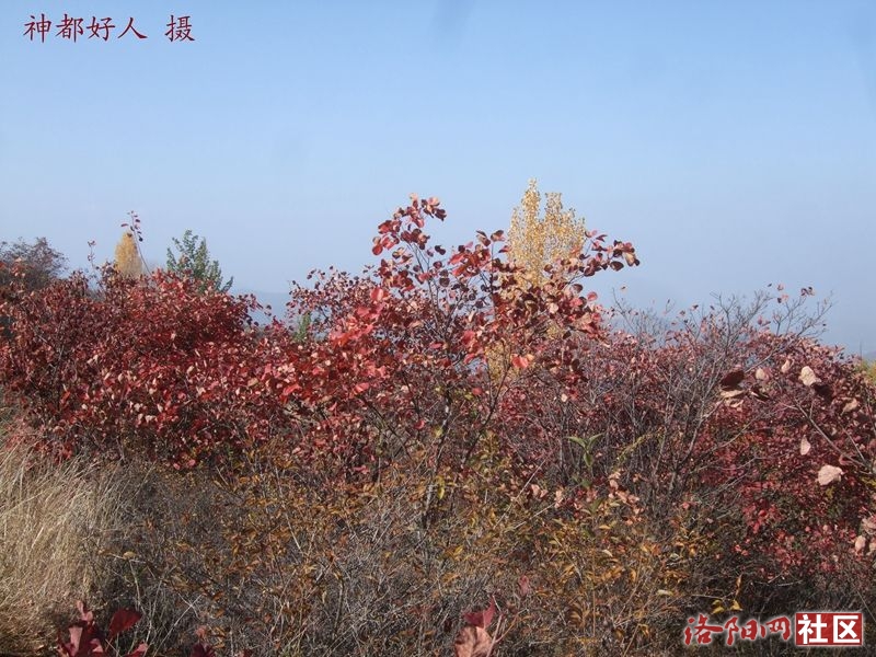 DSCF4063.JPG