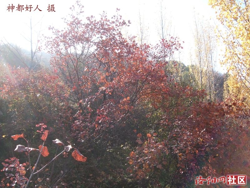 DSCF4064.JPG