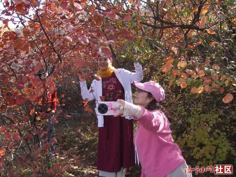 DSCF4080.JPG