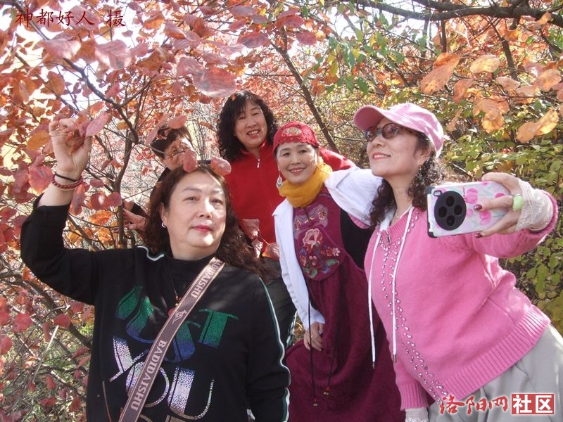 DSCF4081.JPG