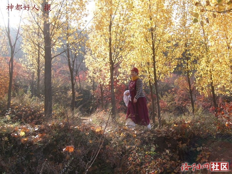 DSCF4084.JPG