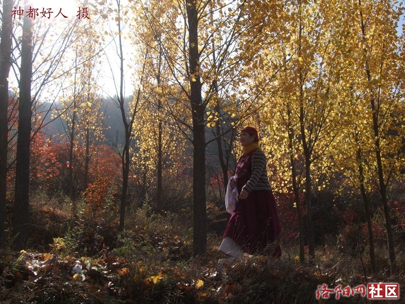 DSCF4085.JPG