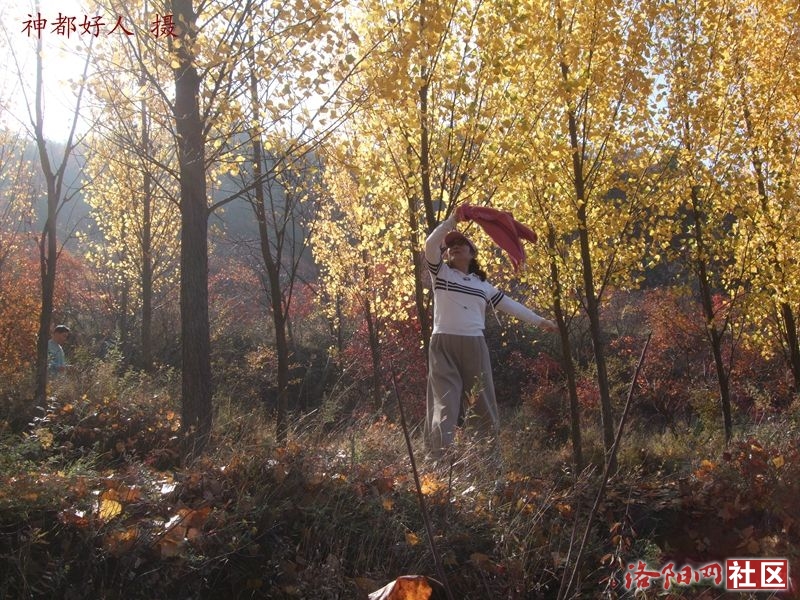 DSCF4087.JPG