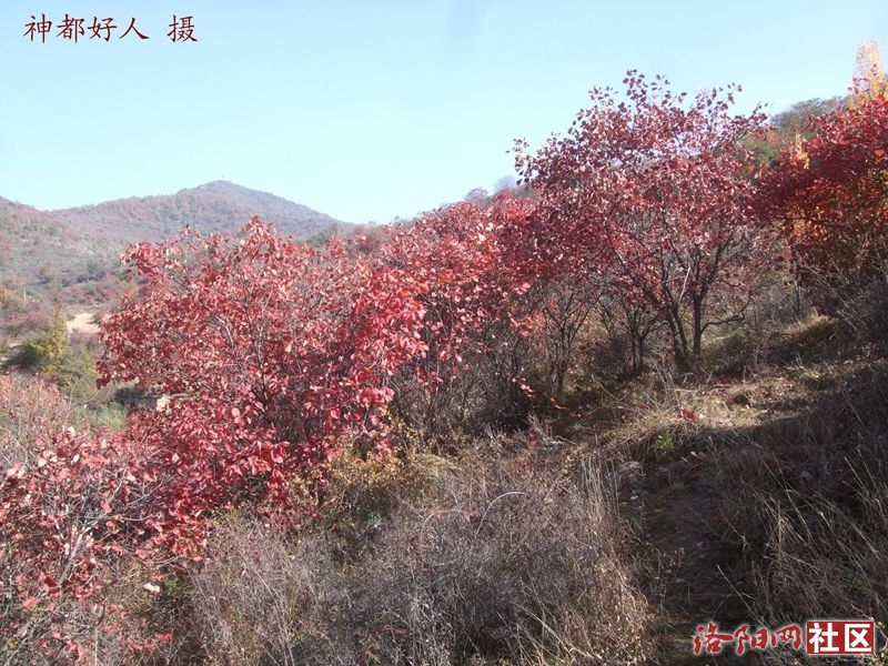 DSCF4089.JPG