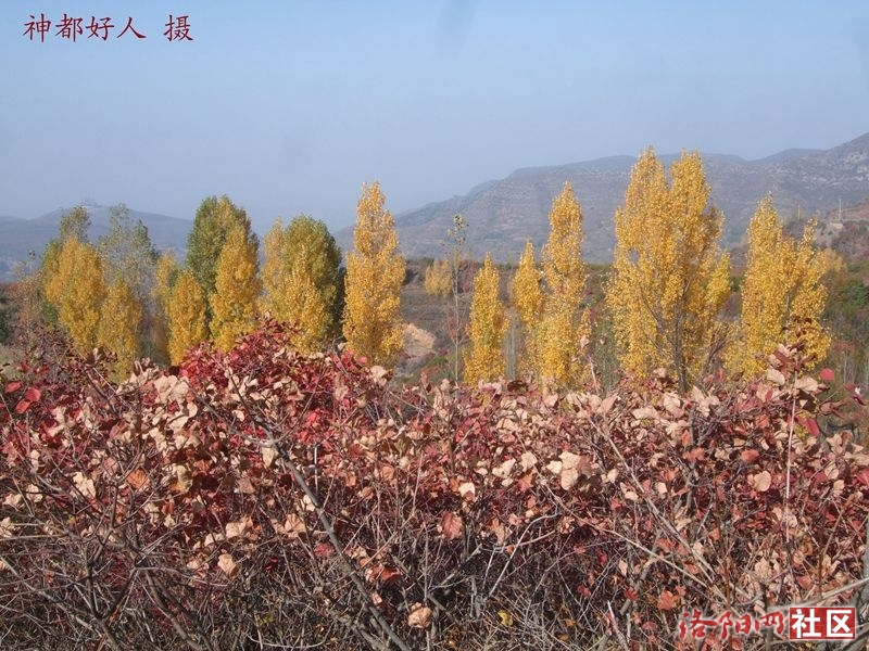 DSCF4091.JPG