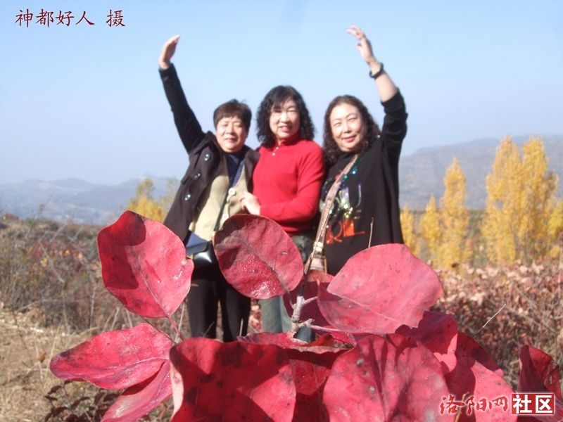 DSCF4099.JPG