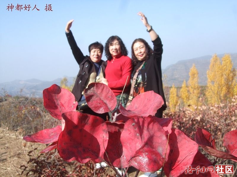 DSCF4100.JPG