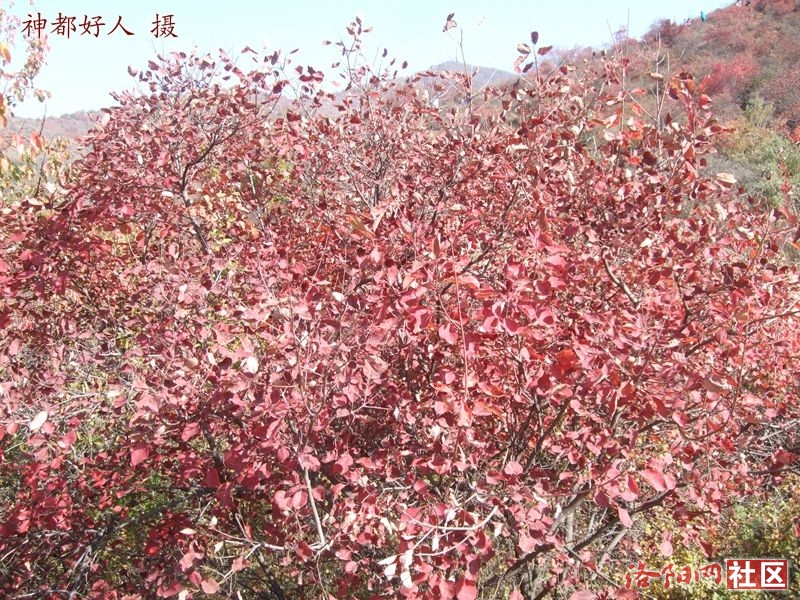 DSCF4104.JPG
