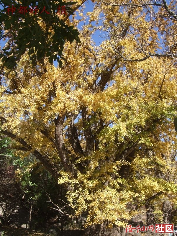 DSCF4002.JPG