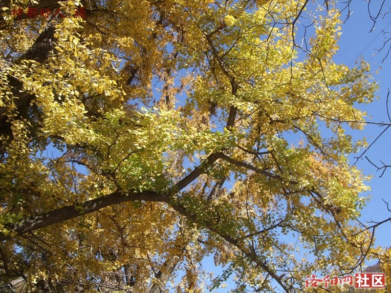 DSCF4003.JPG