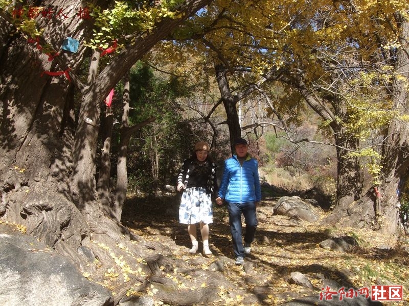 DSCF4008.JPG