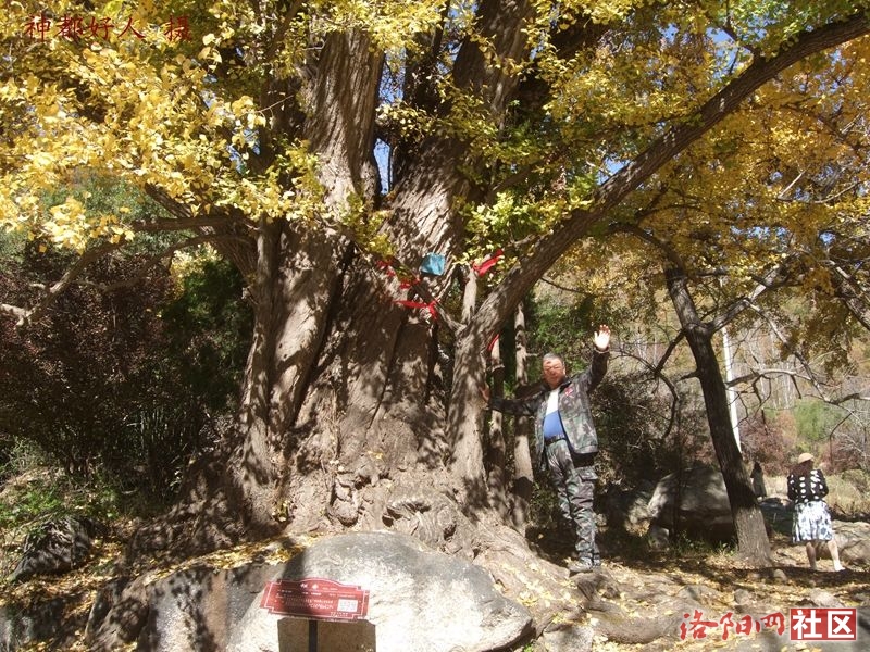 DSCF4009.JPG