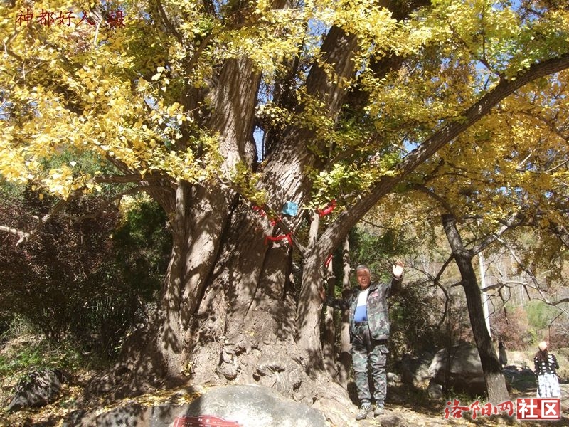 DSCF4010.JPG
