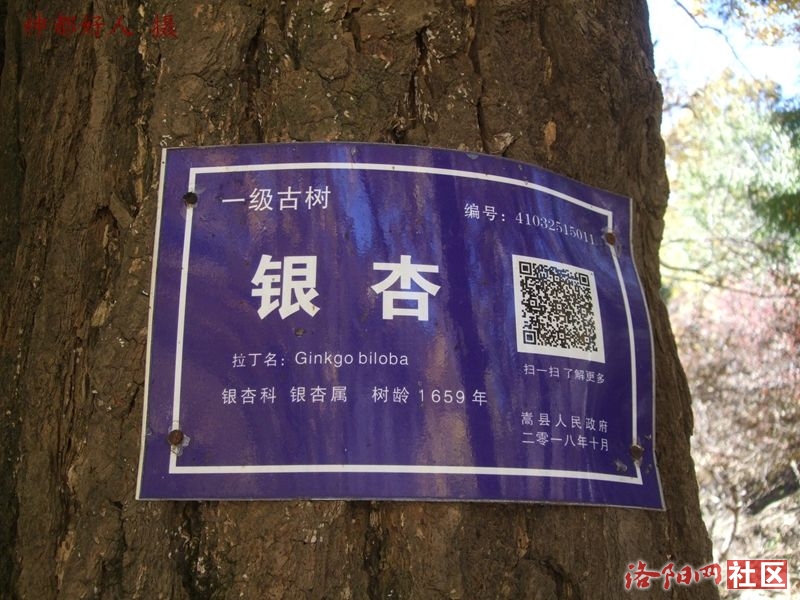 DSCF4013.JPG