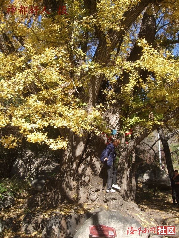 DSCF4014.JPG