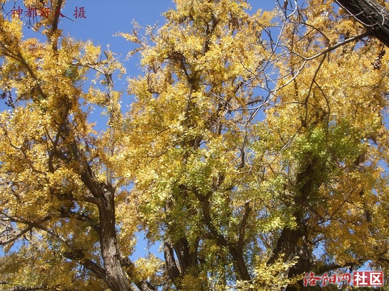 DSCF4019.JPG
