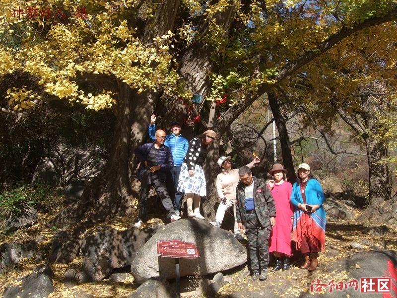 DSCF4027.JPG