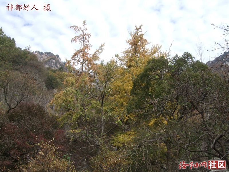 DSCF4028.JPG