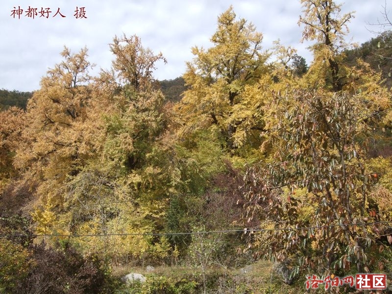 DSCF4033.JPG
