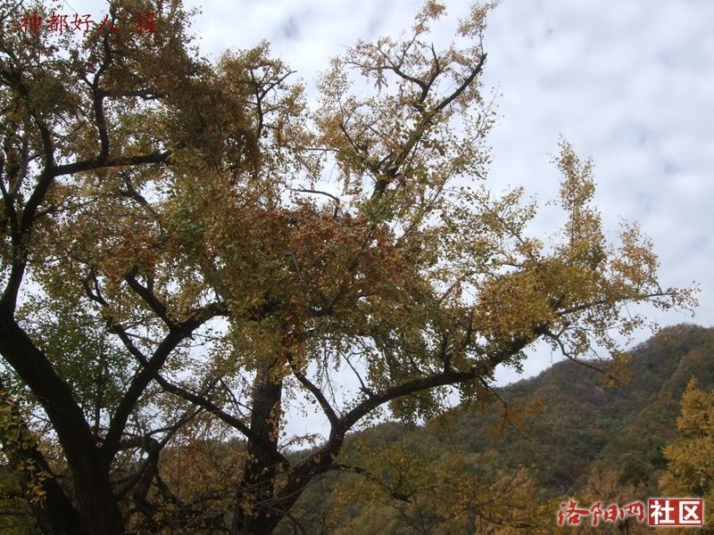 DSCF4034.JPG