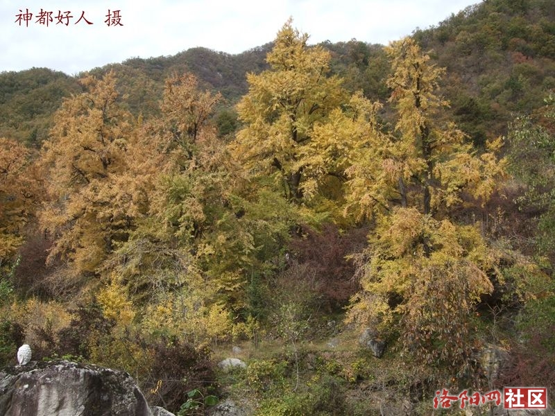 DSCF4035.JPG