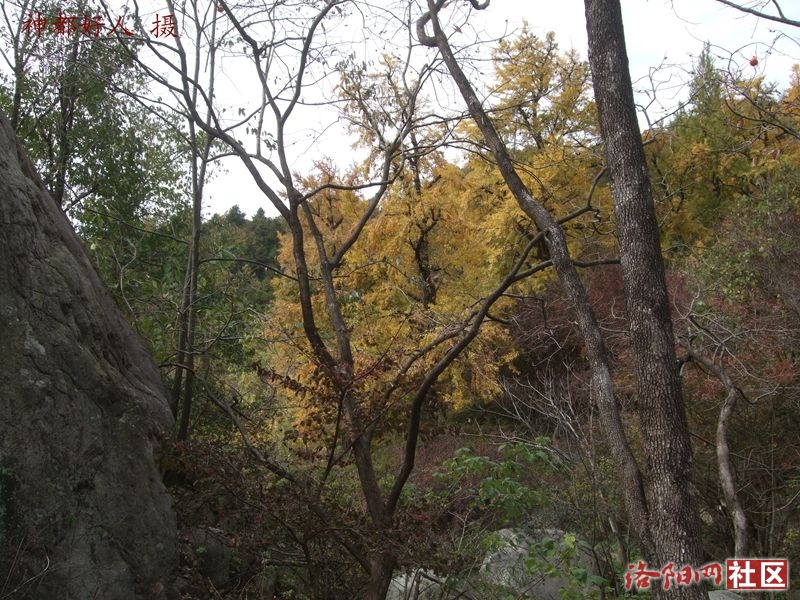 DSCF4039.JPG