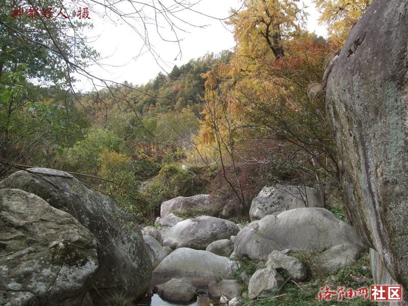 DSCF4040.JPG