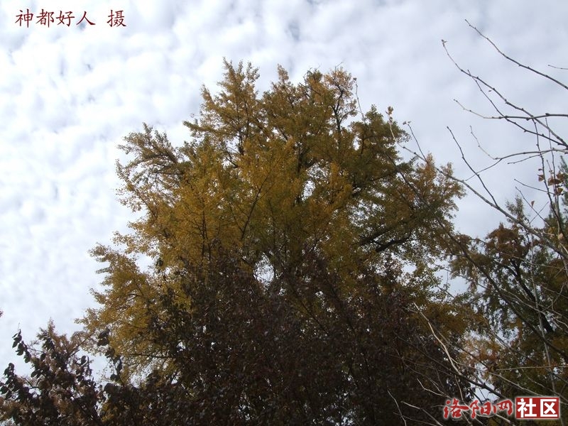 DSCF4042.JPG