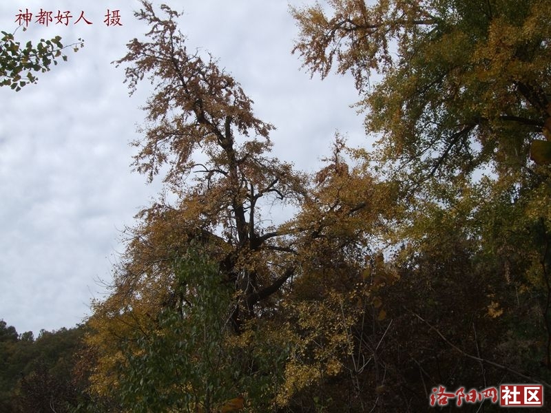 DSCF4043.JPG