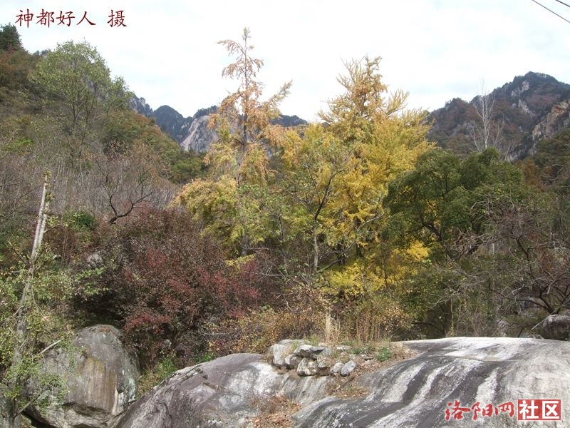 DSCF4066.JPG