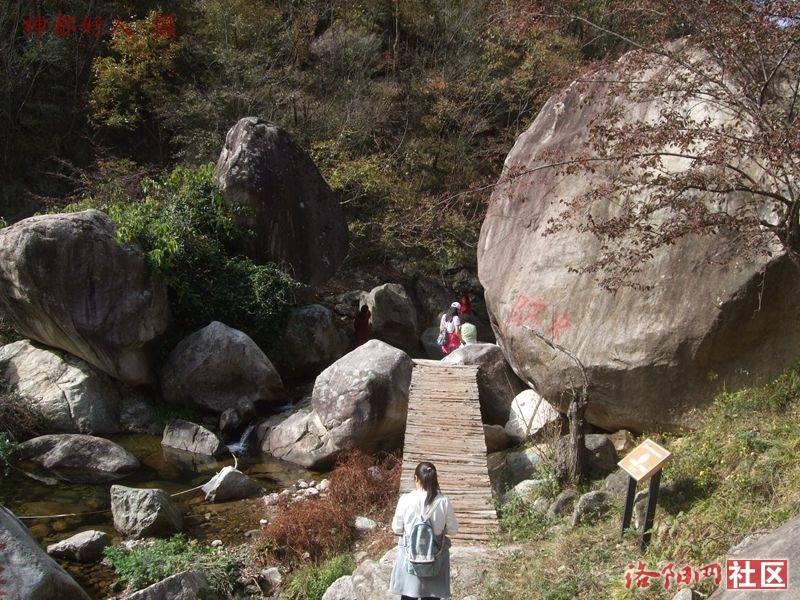 DSCF4074.JPG