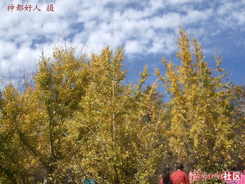 DSCF4075.JPG