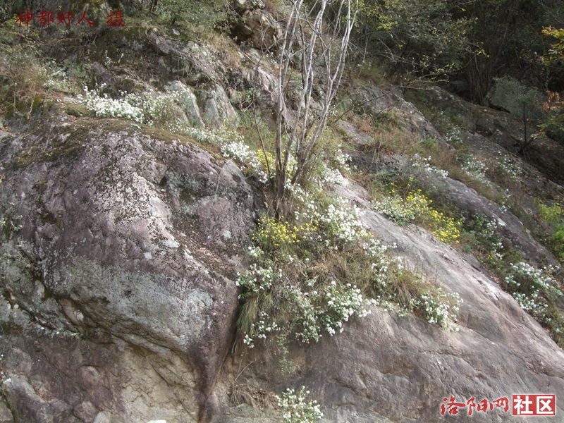 DSCF4081.JPG