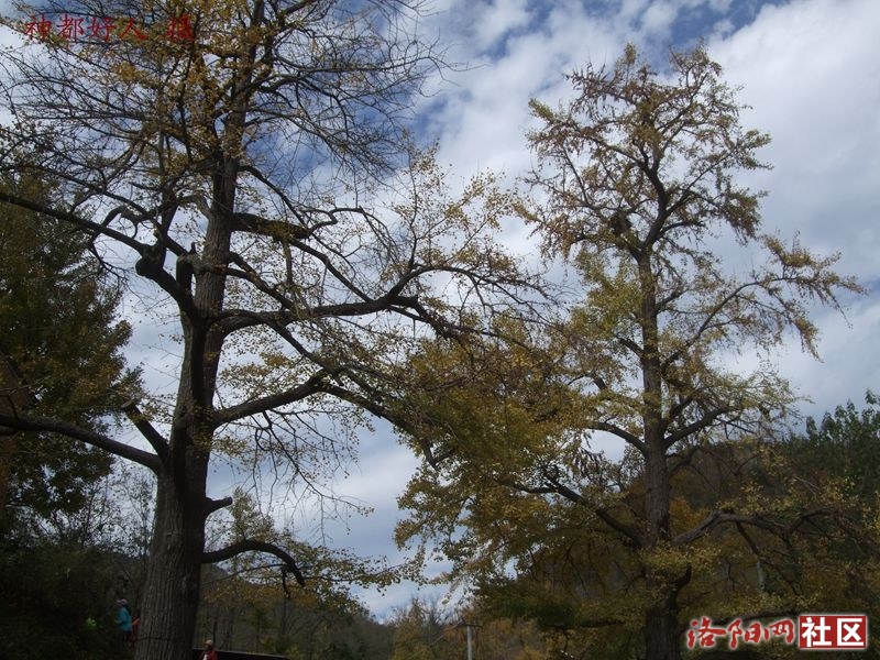 DSCF4088.JPG