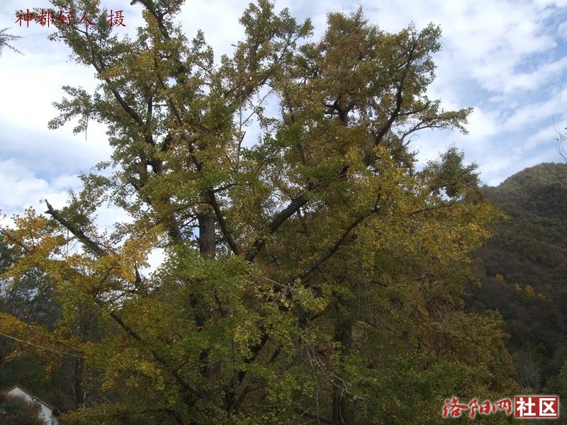 DSCF4093.JPG