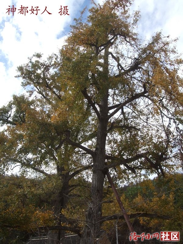 DSCF4096.JPG